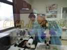 Limpieza de lentes oculares objetivos platina micrometrico macrometric