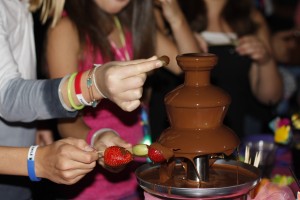 quiero mis 15 prestadores de Servicio tecnico en Chile en Santiago |  fiestas de 15 produccion integral, un cumplea&ntilde;os inolvidable