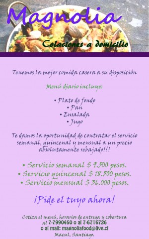 Magnolia Colaciones a Domicilio  prestadores de Servicio tecnico en Chile en Macul |  Colaciones a domicilio u oficina semanal, quincenal o mensual EN MACUL, Tenemos para ustedes la mejor comida casera a domicilio u oficina