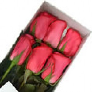 Floreria Rosalinda Anuncios gratis en Independencia |  Envío de Flores a Domicilio, Rosas Ecuatorianas, Ramos de Flores, Arreglos , www.rosalinda.cl