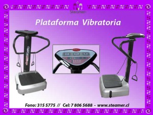 maria martinez Anuncios gratis en Peñalolén |  10 min diarios equivalen a una caminata de 1 hora,  PLATAFORMA VIBRATORIA CRAZY FIT