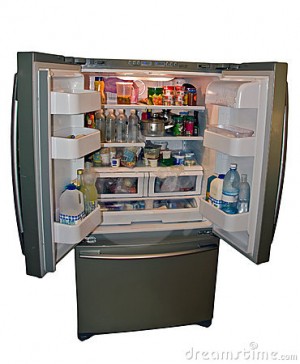 Alvaro Araneda  prestadores de Servicio tecnico en Chile en Talcahuano |  REFRIGERACION ARANEDA, Reparaci&oacute;n, mantenci&oacute;n y control de refrigeradores dom&eacute;sticos y comerciales