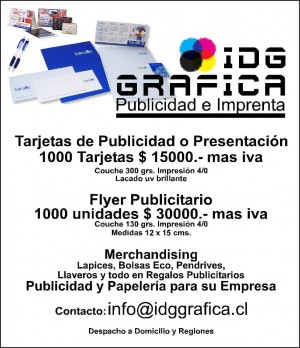 Gonzalo Fernandez G. prestadores de Servicio tecnico en Chile en Santiago |  1000 Tarjetas de visita en $17850.-, Imprenta y merchandising