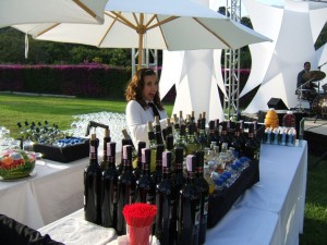 TUTO prestadores de Servicio tecnico en Chile en Lampa |  GARZONES Y MOZOS A DOMICILIO OFERTA 09-1570121 SOMOS LA MEJOR EMPRESA , ASESORAMOS TUS  EVENTOS CON GARZONES A DOMICILIO GARZONEXPRESS.CL