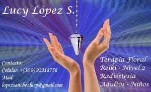 lucy lopez prestadores de Servicio tecnico en Chile en Valpara&iacute;so |  Terapia floral, reiki, radiestesia, adulto y ni&Ntilde;os, Terapeuta