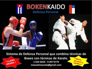 Manuel Mar&iacute;n prestadores de Servicio tecnico en Chile en Santiago |  Defi&eacute;ndete con bokenkaido la mejor defensa personal, Defi&eacute;ndete con bokenkaido