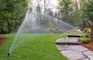 InterConstrucciones prestadores de Servicio tecnico en Chile en Zapallar |  Construccion de riego automatizado tecnificado las 24 hrs, Riego tecnificado