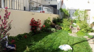 Osvaldo C&aacute;rdenas prestadores de Servicio tecnico en Chile en Valpara&iacute;so |  Mantenciones de jardiner&iacute;a, fertilizaci&oacute;n, riegos tecnificados , Los mejores jardines de la v regi&oacute;n