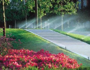 Osvaldo C&aacute;rdenas prestadores de Servicio tecnico en Chile en Vi&ntilde;a del Mar |  Riego autom&aacute;ticos, mantenimiento, paisajismo y jardiner&iacute;a v regi&oacute;n, Tecnificaciones, jardiner&iacute;a, decoraci&oacute;n y dise&ntilde;o 