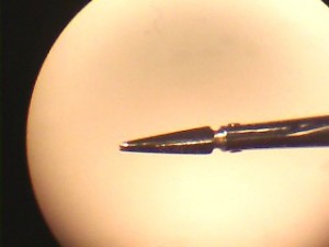 cristian axel acu&ntilde;a negrete prestadores de Servicio tecnico en Chile en Santa Ana de Chena |  Reparacion de tijera bannas storz asico teufel moria katena, Alineamiento de punta afilado pulido ajuste