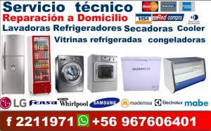 pablo prestadores de Servicio tecnico en Chile en Valdivia |  Servicio tecnico secadoras electrolux valdivia fono   2211971, Reparacion  a domicilio en valdivia