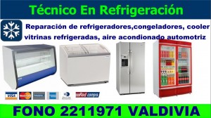 pablo prestadores de Servicio tecnico en Chile en Valdivia |  Tecnico en refrigeracion valdivia a domicilio fono 2211971, Vitrinas refrigeradas cooler   freezer refrigeradores mantenedores