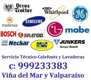 SERVICIO NECKAR SPLENDID VI&Ntilde;A prestadores de Servicio tecnico en Chile en Vi&ntilde;a del Mar |  Servicio junkers mademsa estufas c 999233383 vi&ntilde;a, Calefon mademsa splendid mademsa trotter junkers gasfiter 