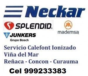 andrea gasset prestadores de Servicio tecnico en Chile en Vi&ntilde;a del Mar |  Mademsa junkers servicio gasfiter c 999233383 viña, Calefon mademsa splendid mademsa trotter junkers gasfiter 