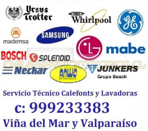 Tecnico viña prestadores de Servicio tecnico en Chile en Vi&ntilde;a del Mar |  Mademsa fensa lg tecnico c 999233383 viña, Junkers trotter mademsa splendid neckar calefont estufas lavadoras lg 