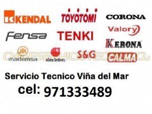 Mysetec prestadores de Servicio tecnico en Chile en Viña del Mar |  Amwo splendid junkers rheem gasfiter c 988797400 viÑa, Anwo rheem gasfiter splendid junkers mademsa trotter calefont