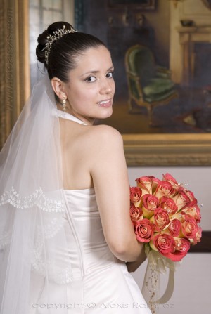 ALexis Ramirez prestadores de Servicio tecnico en Chile en Santiago |  FOTOGRAFIA DE MATRIMONIOS, fotografia profesional para su boda