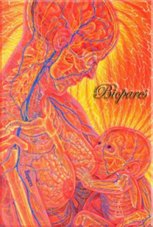 Biopares prestadores de Servicio tecnico en Chile en Concepci&oacute;n |  Biomagnetismo, snacion con imanes  en concepcion, La mejor alternativa para sanar sus dolencias, estamos en concepcion