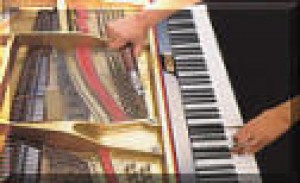 Gustavo Valencia P. prestadores de Servicio tecnico en Chile en Santiago |  Reparacion, Restauracion y Afinacion de Pianos, Repare su Piano en forma segura y confiable 