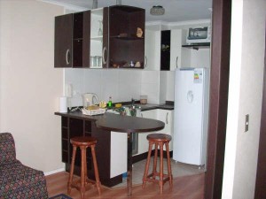 Rosa Riquelme M. prestadores de Servicio tecnico en Chile en Santiago |  ARRIENDO DEPARTAMENTOS AMOBLADOS.(dia/s,semanas)SANTIAGO CENTRO, DEPARTAMENTOS NUEVOS