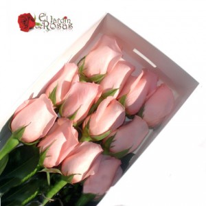 eljardinderosas prestadores de Servicio tecnico en Chile en Santiago |  FORERIA REGALE CAJA 12 ROSAS ECUATORIANAS TALLO LARGO 15.900, DESPACHAMOS GRATIS A DOMICILIO 