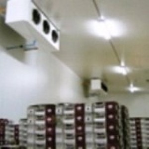 MAURICIO HERNANDEZ prestadores de Servicio tecnico en Chile en San Antonio |  REFRIGERACION Y CLIMATIZACION., HYSERVICIOS