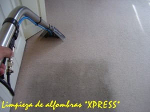 *XPRESS* LIMPIEZA DE ALFOMBRAS & TAPICES prestadores de Servicio tecnico en Chile en Vi&ntilde;a del Mar |  LAVADO DE ALFOMBRAS., CASAS,DPTOS,OFICINAS.