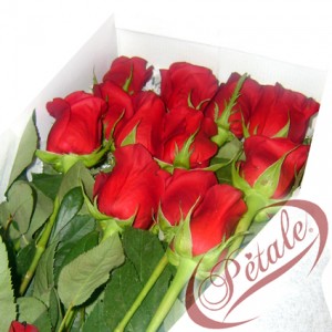 petale prestadores de Servicio tecnico en Chile en Santiago |  Regaloschile.com envio de regalos a domichilio FONO 6416780  buena atencion, flores enamorados brindis romanticos desayunos a casa rosas gerberas lilium
