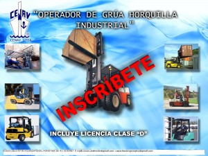 GEORGINA CUEVAS L. prestadores de Servicio tecnico en Chile en Curanilahue |  CURSO DE OPERADOR DE GRUA HORQUILLA , CERTIFICACION ISO 9001 2000 CH 2728 