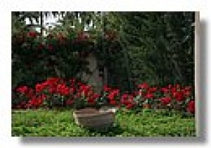 juan carlos diaz palavecinos prestadores de Servicio tecnico en Chile en Santiago |  construyo y reparo y mantengo jardines a muy bajo costo 87116515, experiencia y disponibilidad