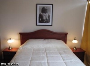  prestadores de Servicio tecnico en Chile en Santiago |  Arriendo Departamentos    de lujo  amoblados DIAS, SEMANAS en santiago cent, METRO SANTA LUCIA, linea 1