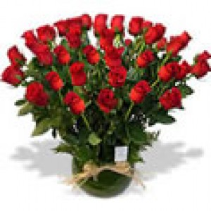 Floreria Rosalinda prestadores de Servicio tecnico en Chile en Independencia |  Flores a Domicilio: www.rosalinda.cl, Interpretamos el lenguaje de las Flores